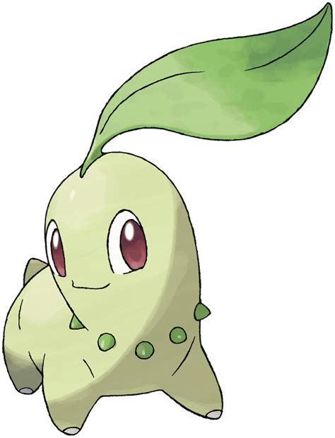 chikorita pokémon evolution|chikorita abilities.